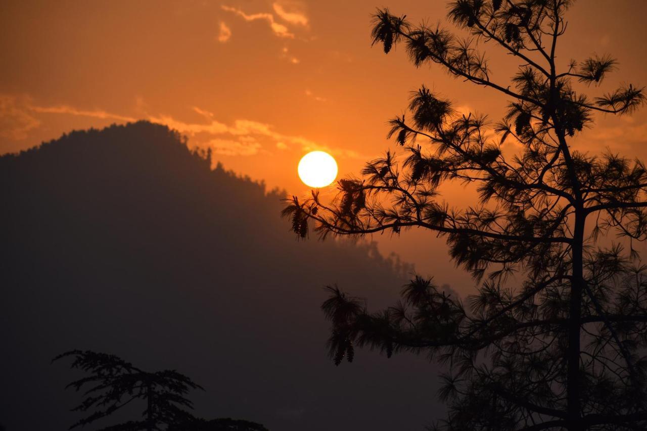 Aachman Nature Valley Resort, Mashobra Shimla Luaran gambar
