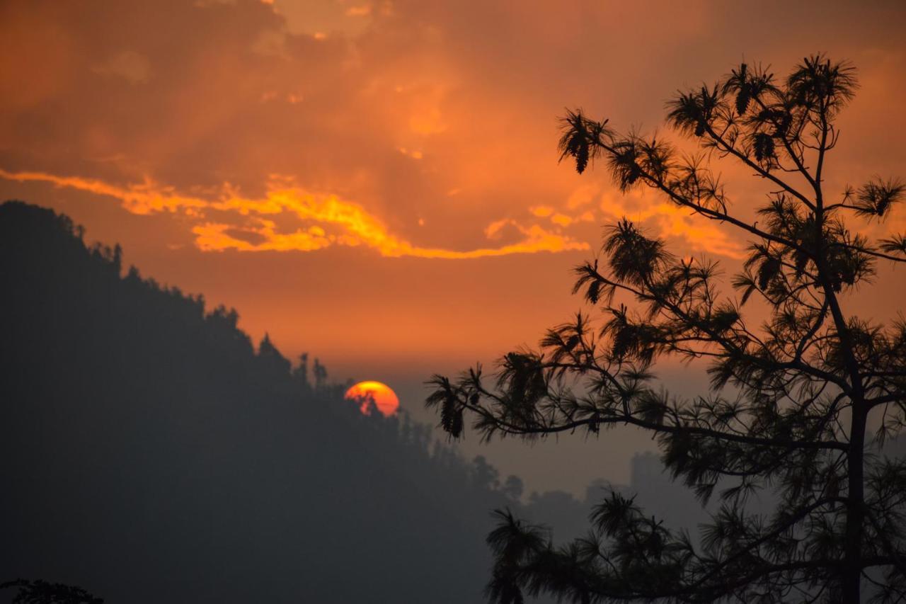 Aachman Nature Valley Resort, Mashobra Shimla Luaran gambar